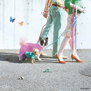 乱人伦视频中文字幕
