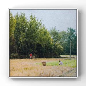 乱人伦视频中文字幕
